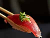 Tuna Sashimi
